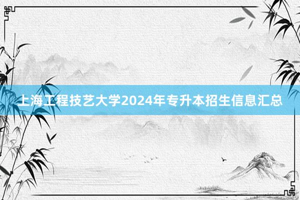 上海工程技艺大学2024年专升本招生信息汇总