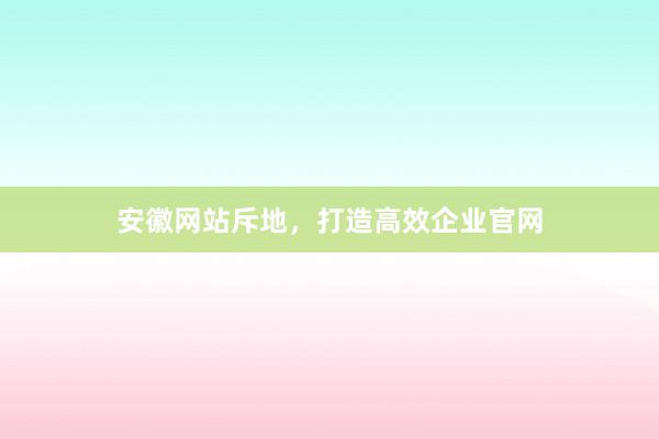 安徽网站斥地，打造高效企业官网